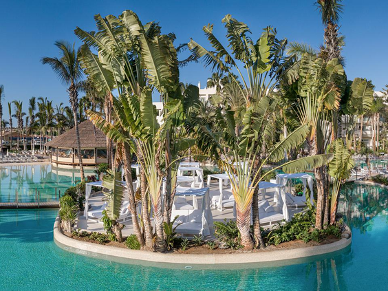 Een groen eilandje vol palmbomen en witte ligbedden, midden in het grote zwembad van Maspalomas Princess.