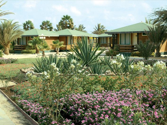 Oasis Belorizonte