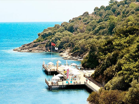 Hotel Paloma Pasha