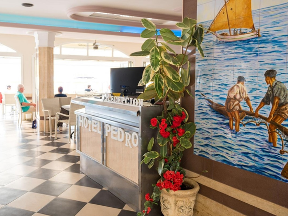 Hotel Pedro
