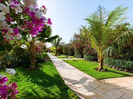 Hotel Royal Horizons Baobab - tuin