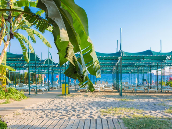 Hotel Telatiye Resort