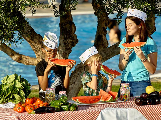Sparky Hotel Vasia Resort Kreta