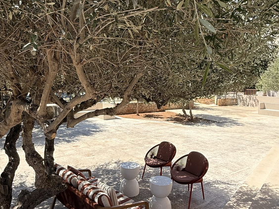 Hotel Vasia Resort & Spa