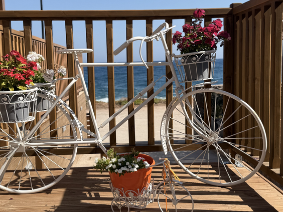 Hotel Vasia Resort & Spa
