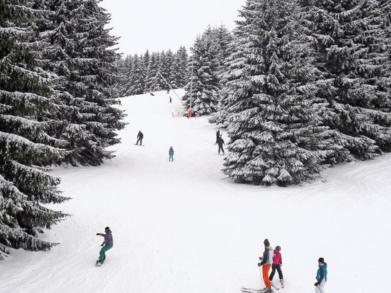 Een mooie afdaling door het bos in Winterberg, waar skiërs en snowboarders tussen de besneeuwde dennenbomen door skiën.
