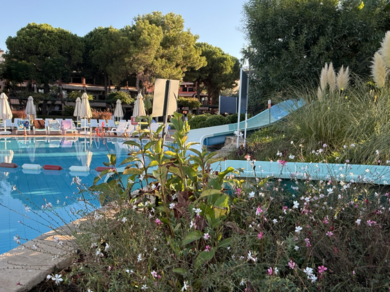 SPLASHWORLD AQI Pegasos World