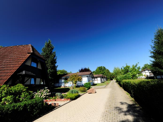 Overzicht van het groene en ruim opgezette vakantiepark Feriendorf Waldbrunn in het Zwarte Woud, met vakantiehuisjes langs een pad.