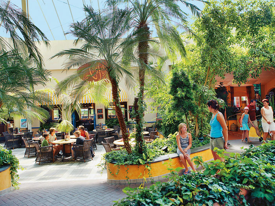 center parcs eifel
