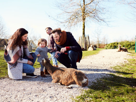 Een gezin aait een wallaby op de kinderboerderij van Vakantiepark Sandur.