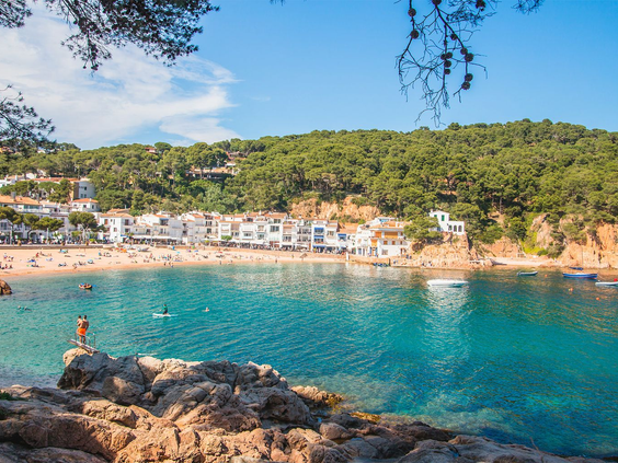 Camping Cypsela