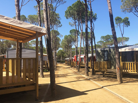 Camping Cypsela