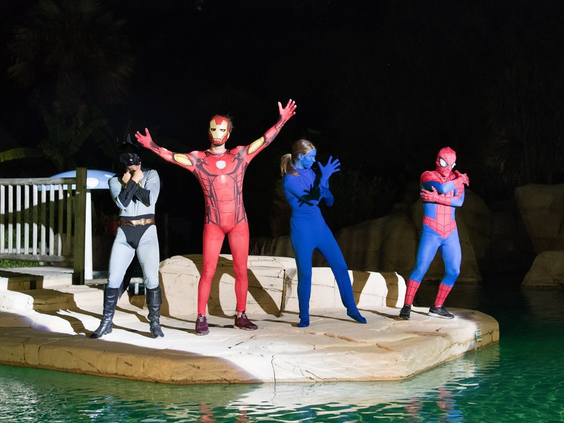 Vier entertainers verkleed als superhelden (Batman, Iron Man, Spider-Man) geven een show bij het zwembad op camping Domaine des Ormes.