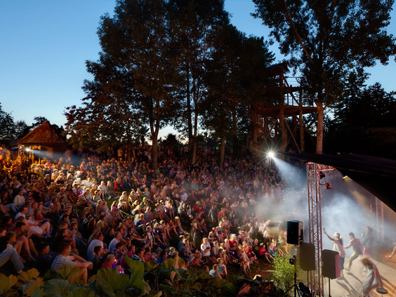 Grote menigte publiek geniet van een openluchtconcert met podiumverlichting in de avond op camping Domaine des Ormes.