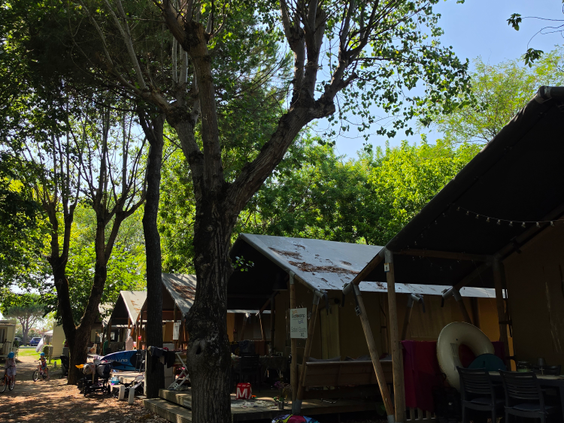 Camping Spiaggia e Mare