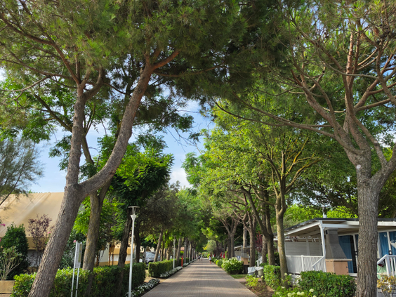 Camping Spiaggia e Mare