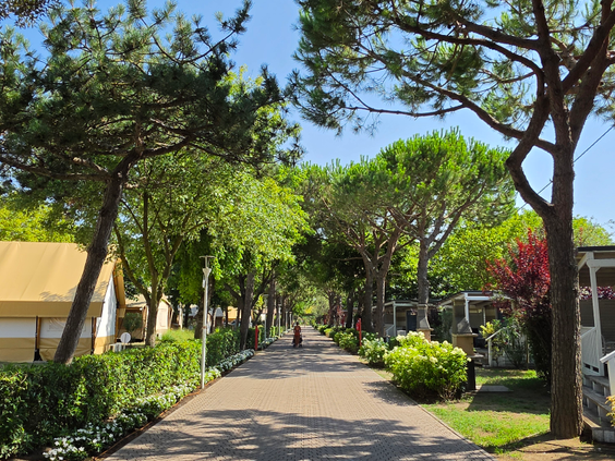 Camping Spiaggia e Mare