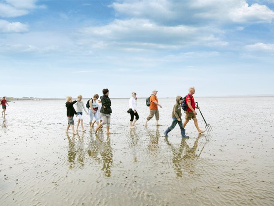 Familie met kinderen en hond maakt een wandeling over het wad, oftewel wadlopen, aan de Noordzeekust bij Tossens.