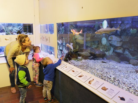 Moeder en kinderen kijken vol interesse naar de vissen in een groot aquarium dat het onderwaterleven van de Waddenzee laat zien.