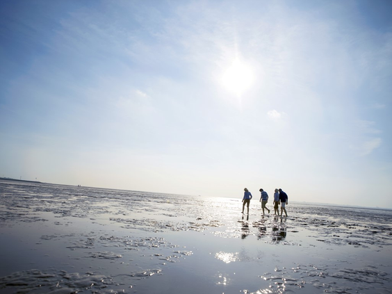 Silhouet van een gezin dat bij laagwater over de bodem van de Waddenzee wandelt in het zonlicht.