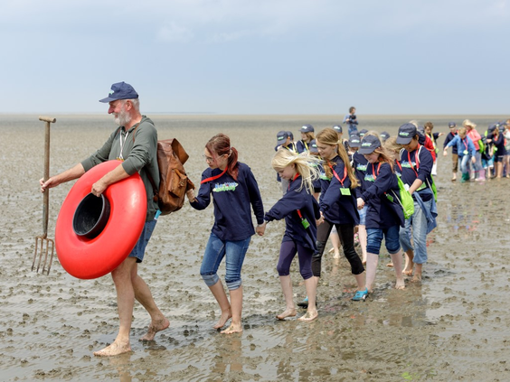 Groep kinderen en volwassenen lopen hand in hand door de modder van de Waddenzee tijdens een begeleide wadlooptocht.