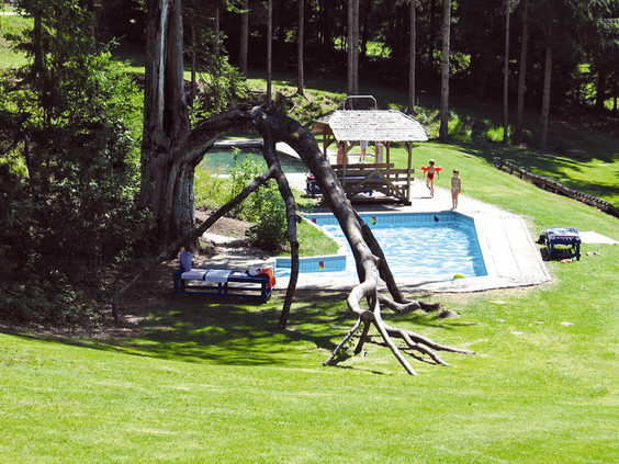Het buitenzwembad van KNAUS Campingpark Lackenhäuser, prachtig gelegen in het groen met een opvallende boom die over het water buigt.