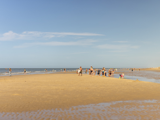 Het brede zandstrand van Texel op een zonnige dag waar families en kinderen genieten aan de waterkant.