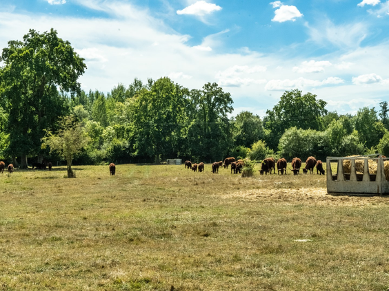 La Ferme de Fontenille