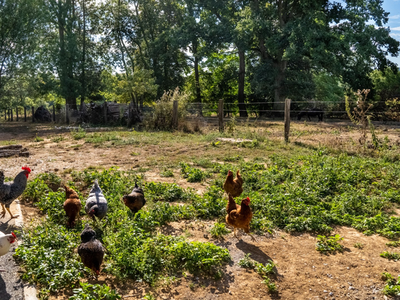 La Ferme de Fontenille