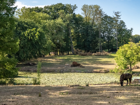 La Ferme de Fontenille