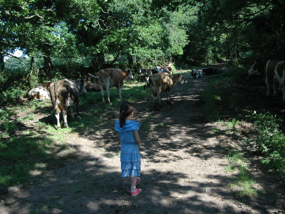 La Ferme de Penquelen