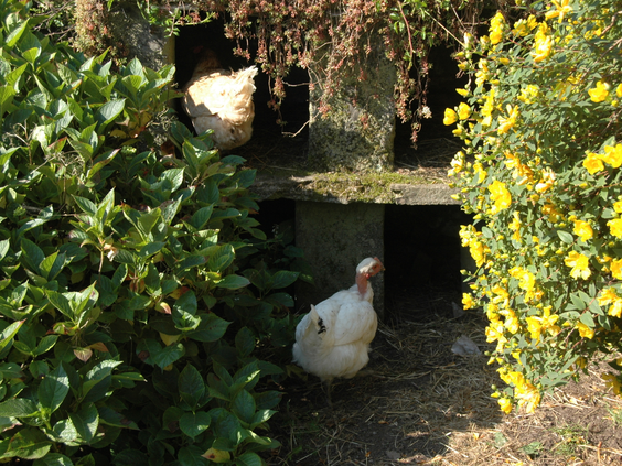 La Ferme de Penquelen