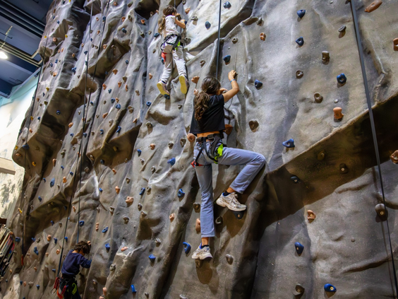 Kinderen en volwassenen die de hoge indoor klimwand bij Lalandia Billund beklimmen, gezekerd met touwen.