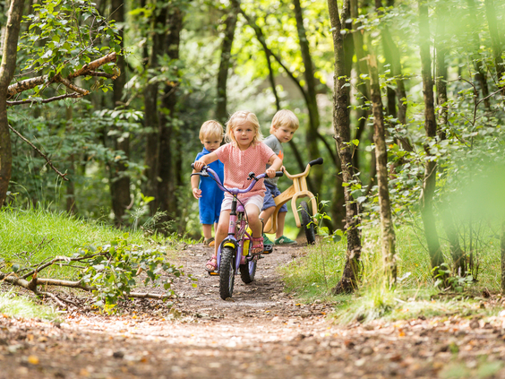 Drie jonge kinderen fietsen op een smal bospad tussen de groene bomen, en ontdekken de natuurrijke omgeving van Landal het Land van Bartje.
