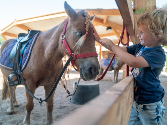 Een klein, lachend kind staat bij een houten hek en aait voorzichtig een lieve pony op de ponyranch van Landal het Land van Bartje in Drenthe.