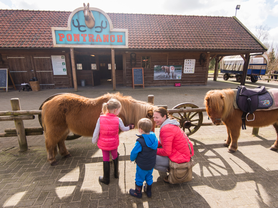 Kinderen met een volwassene staan bij de ingang van de Ponyranch op Landal het Land van Bartje, waar ze twee lieve pony's aaien die klaarstaan voor een ritje.