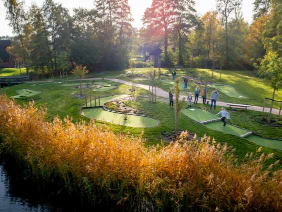 Gezinnen spelen adventure golf op de groene midgetgolfbaan van Landal Aelderholt, omringd door riet en bomen in de avondzon in Drenthe.