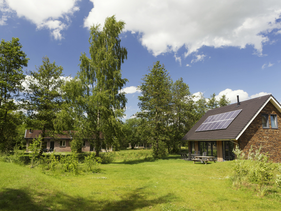 Overzicht van het ruim opgezette vakantiepark Landal Aelderholt met vrijstaande bungalows, omgeven door grote groene grasvelden en de Drentse bossen.