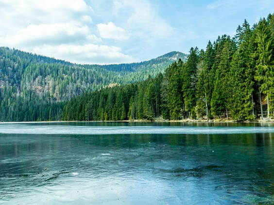 Het heldere water van de Grote Arbersee, een prachtig meer omringd door de groene bossen van het Beierse Woud