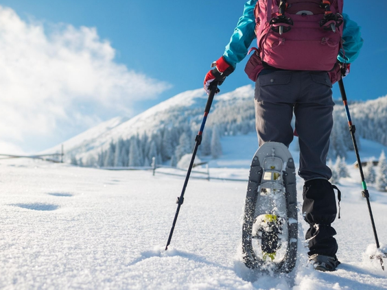 Iemand maakt een wandeling op sneeuwschoenen door het ongerepte, diepe sneeuwlandschap in het Beierse Woud.