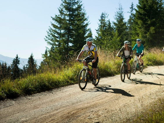 Een sportief gezin is aan het mountainbiken over een zandpad door de bossen in de bergen van Beieren.