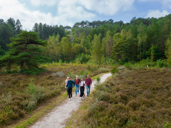 Een familie wandelt over een zandpad door het uitgestrekte heide- en boslandschap van de Schoorlse Duinen.