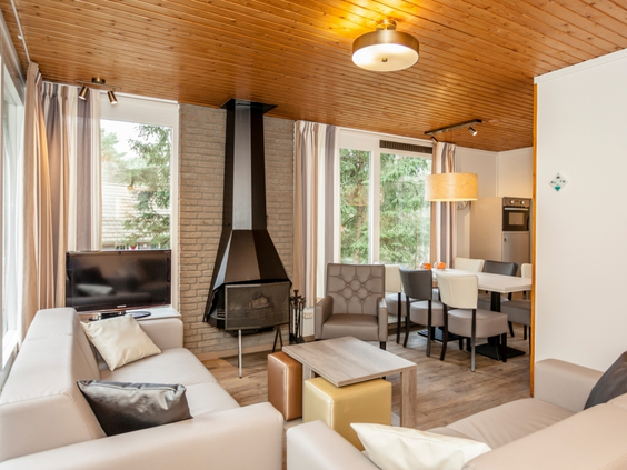 Het moderne en gezellige interieur van een bungalow op Landal Coldenhove, met een comfortabele zithoek en sfeervolle open haard.