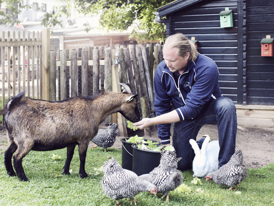 Een man voert de geitjes en kippen op de gezellige kinderboerderij van Landal Coldenhove.
