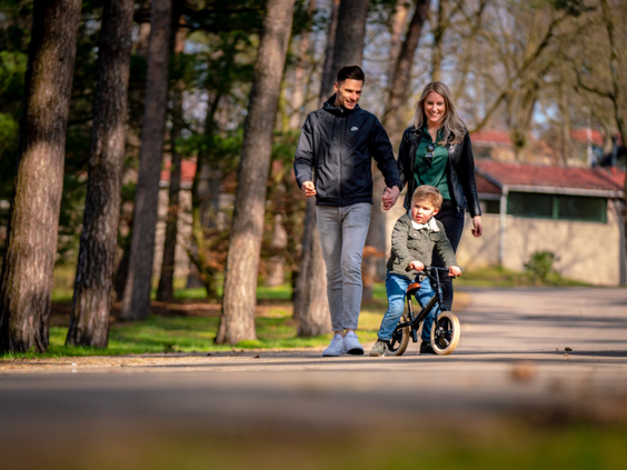 Jong gezin wandelt hand in hand over een bospad op het autoluwe vakantiepark Landal De Lommerbergen, terwijl hun zoontje op een loopfiets rijdt.
