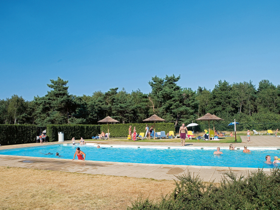 Hoofdafbeelding zomer.jpg