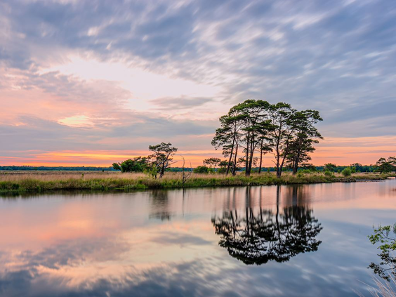 Prachtige zonsondergang boven een ven in Drenthe met een perfecte weerspiegeling van de bomen en de kleurrijke roze lucht in het spiegelgladde water.