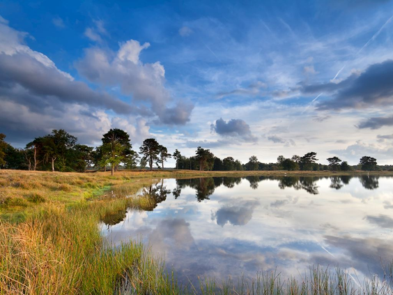 Een stil ven in een Drents natuurgebied, waarin de blauwe lucht met dramatische wolken en de bomen aan de oever perfect worden weerspiegeld.