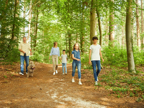 Een familie met kinderen wandelt over een bospad in de bosrijke omgeving van Landal Drentse Lagune in Drenthe.