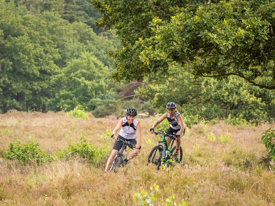 Twee kinderen met helmen op crossen op hun mountainbikes over een onverhard pad door de heuvelachtige natuur van Drenthe.
